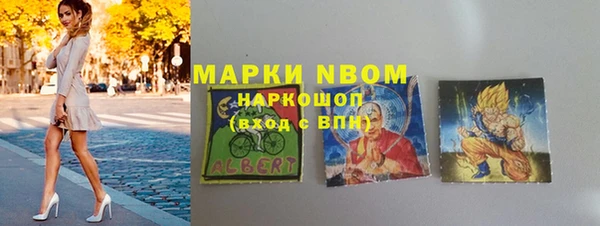 гашик Нея