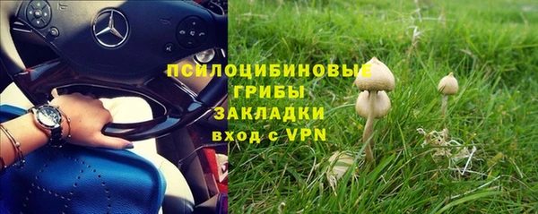 гашик Нея