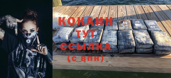 гашик Нея