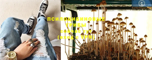 гашик Нея