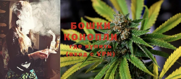 гашик Нея
